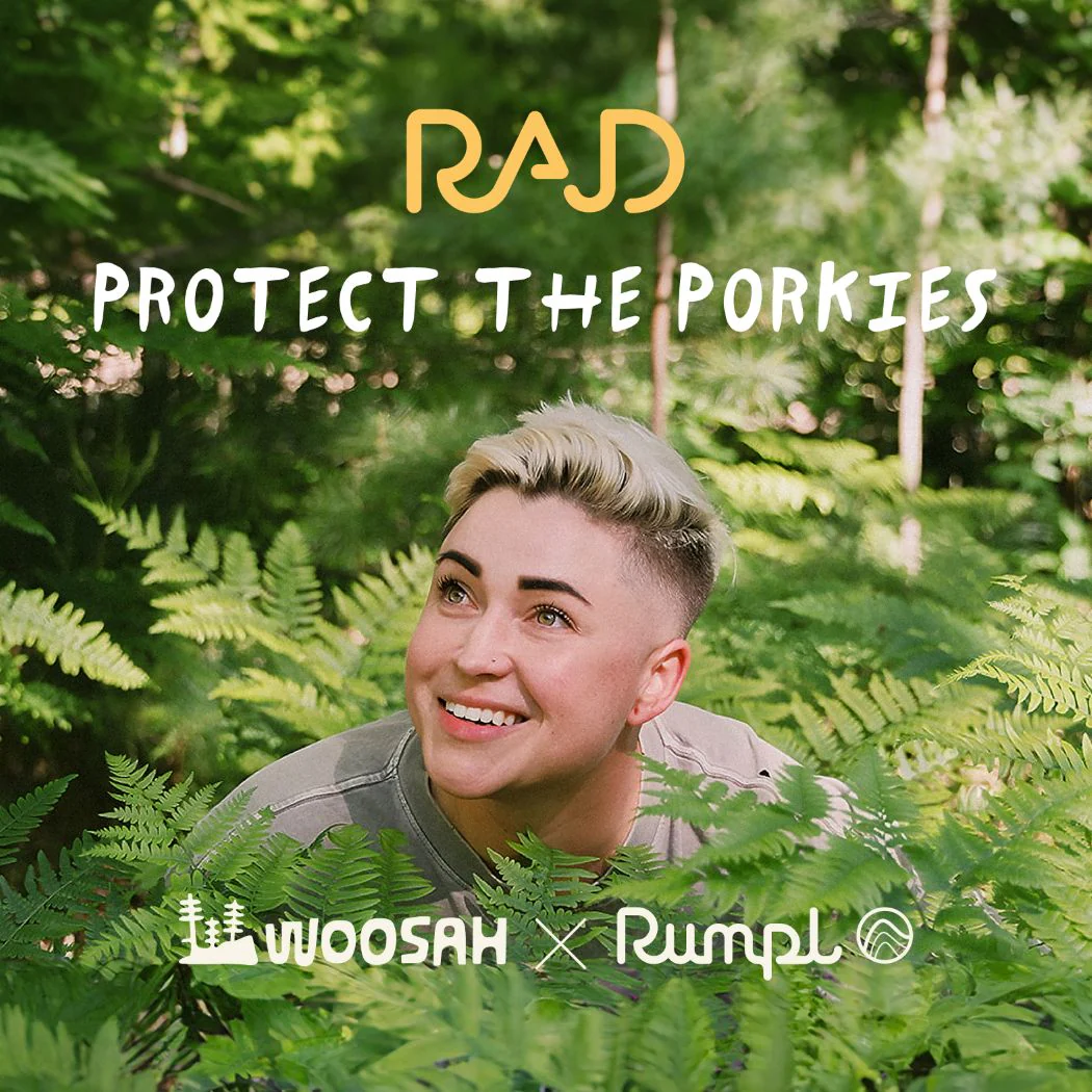 The Camp Pillow - Rae Lang - Protect The Porkies - Image 7